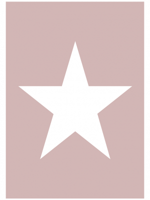 Cuadro Star pink